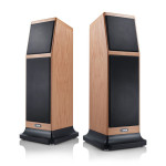 CANTON ERGO GS EDITION OAK - COPPIA Diffusori da pavimento - Audio ...