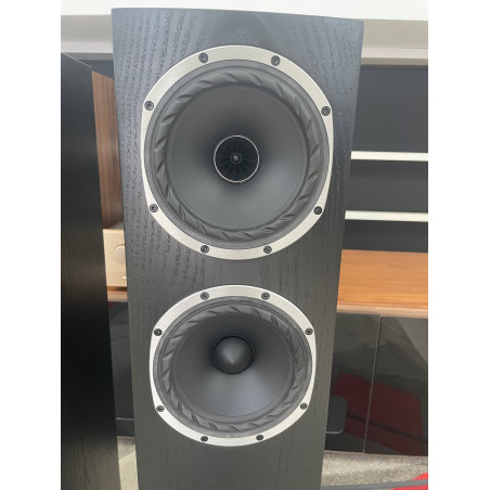 FYNE AUDIO F501 - EX DEMO Floorstanding Speakers - Audio Impact