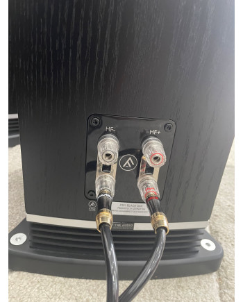 FYNE AUDIO F501 - EX DEMO Floorstanding Speakers - Audio Impact