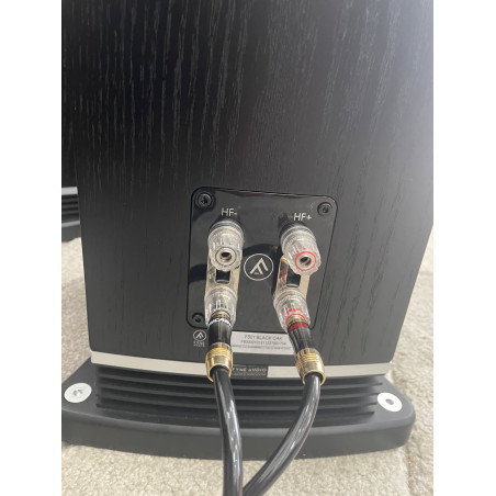 FYNE AUDIO F501 - EX DEMO Floorstanding Speakers - Audio Impact