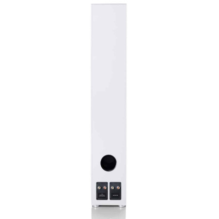 CANTON GLE 90 AR WHITE - COPPIA Diffusori da pavimento - Audio Impact