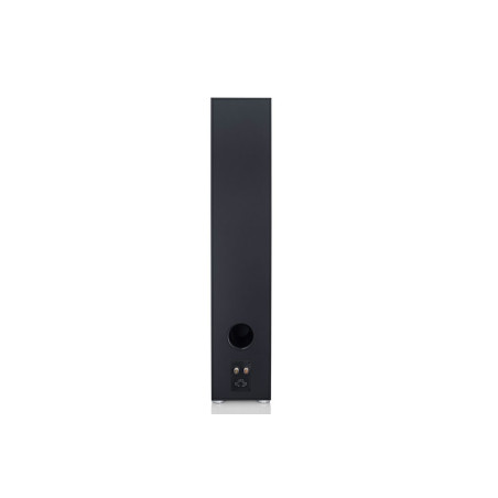 CANTON GLE 90 BLACK - COPPIA Diffusori da pavimento - Audio Impact