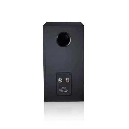 CANTON GLE 30 BLACK - COPPIA Diffusori da scaffale - Audio Impact