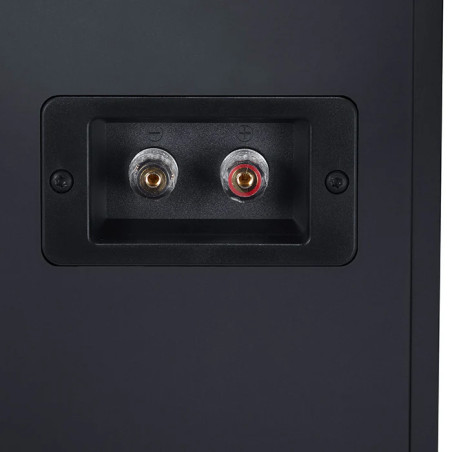 CANTON GLE 10 PRO BLACK - COPPIA Diffusori da scaffale - Audio Impact
