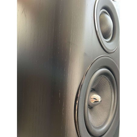 WHARFEDALE EVO 4.2 - USATO E CON SEGNI Diffusori da scaffale - Audi...