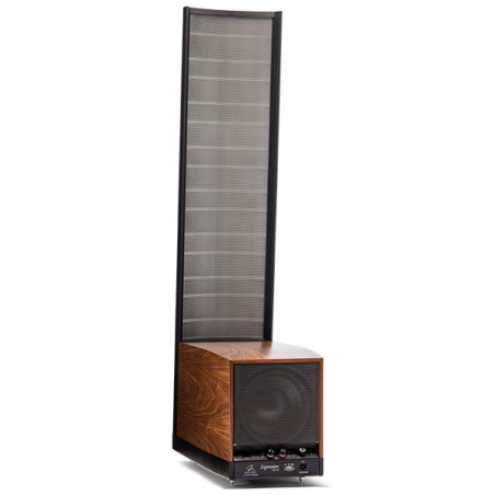 MARTIN LOGAN EXPRESSION ESL 13A - COPPIA Diffusori da pavimento - A...