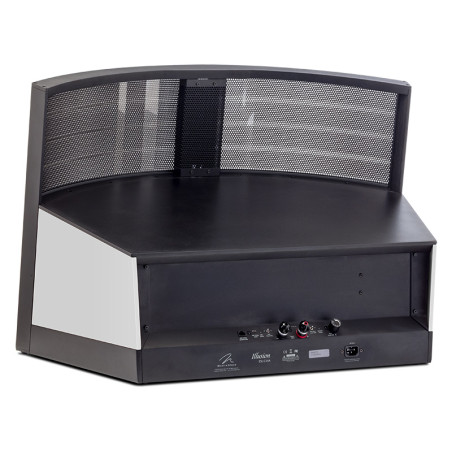 MARTIN LOGAN ILLUSION ESL C34A Centrale - Audio Impact