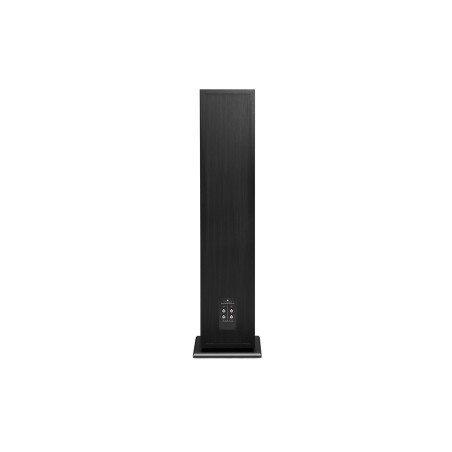TRIANGLE BOREA BR10 - Floorstanding speakers - Audio Impact