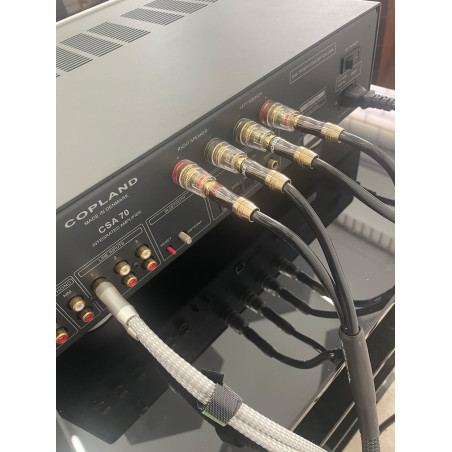 COPLAND CSA70 SILVER -USATO B stock - Audio Impact