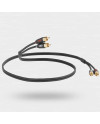 QED PROFILE AUDIO 2RCA/2RCA 2 MT