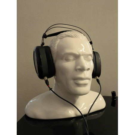 DAN CLARK AUDIO AEON 2 CLOSED - EX DEMO - Cuffie - Audio Impact