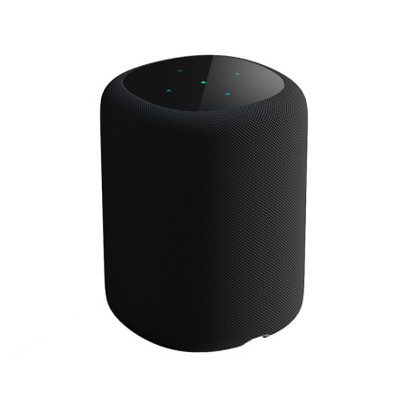 WIIM SOUND - Active / wireless speakers - Audio Impact