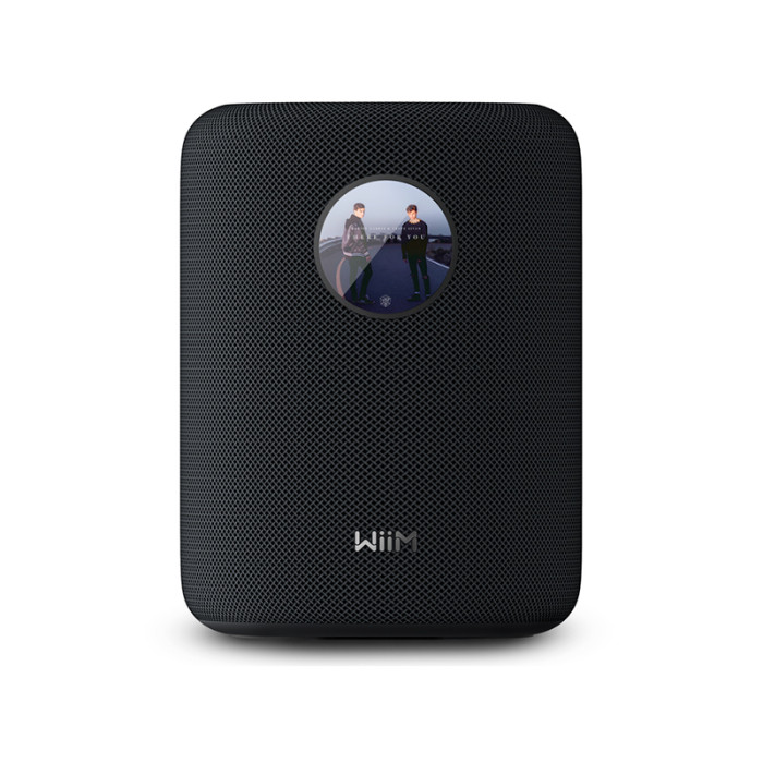 WIIM SOUND - Active / wireless speakers - Audio Impact