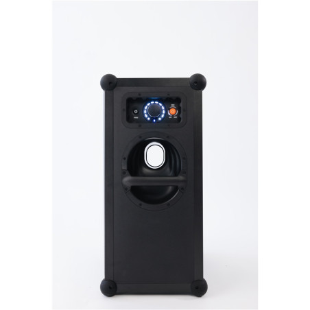 SOUNDBOKS 4 - EX DEMO - Diffusori attivi / wireless - Audio Impact