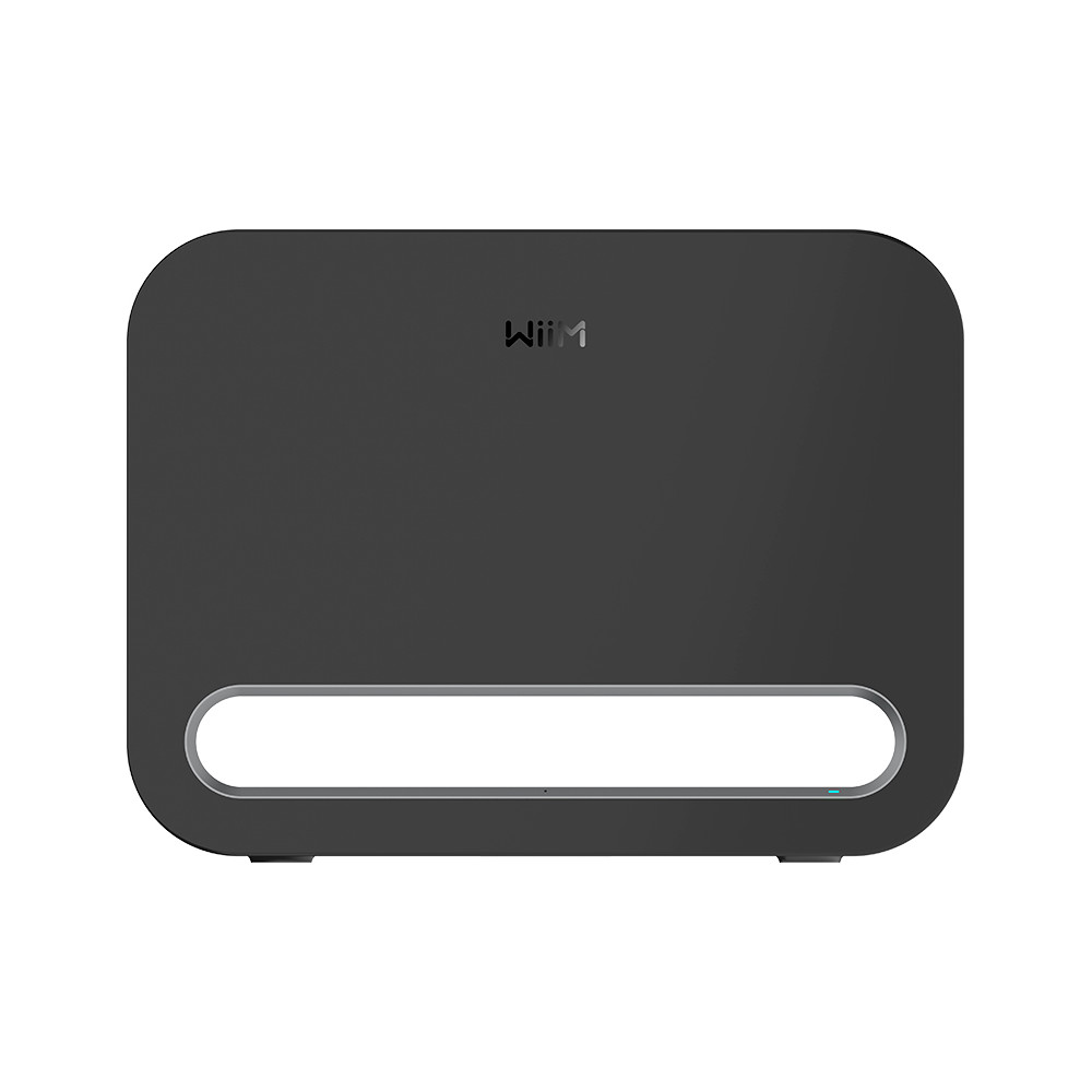 WIIM SUB PRO - Subwoofer - Audio Impact