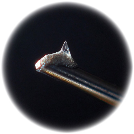 JICO N-44-7 IMP SAS/B - Testine e stilo - Audio Impact