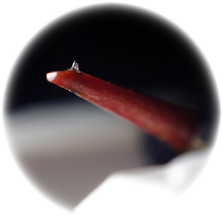 JICO N44 YURUSHI-IRO NUDE - Testine e stilo - Audio Impact