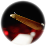 JICO J50 USHIKOROSHI NUDE - Testine e stilo - Audio Impact