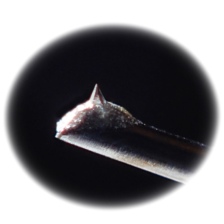 JICO SETO-HORI REMODEL - Testine e stilo - Audio Impact