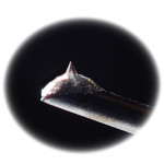 JICO SETO-HORI REMODEL - Testine e stilo - Audio Impact