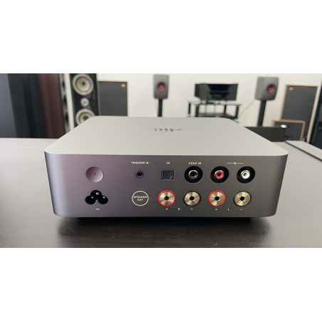 WIIM VIBELINK AMP - EX DEMO - Amplificatori integrati - Audio Impact