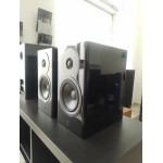 DYNAUDIO FOCUS 10 PAIR - EX DEMO - Bookshelf speakers - Audio Impact