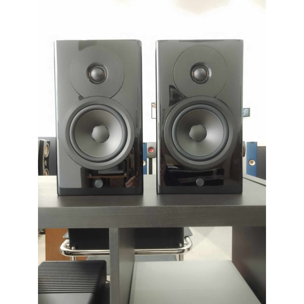 DYNAUDIO FOCUS 10 PAIR - EX DEMO - Bookshelf speakers - Audio Impact