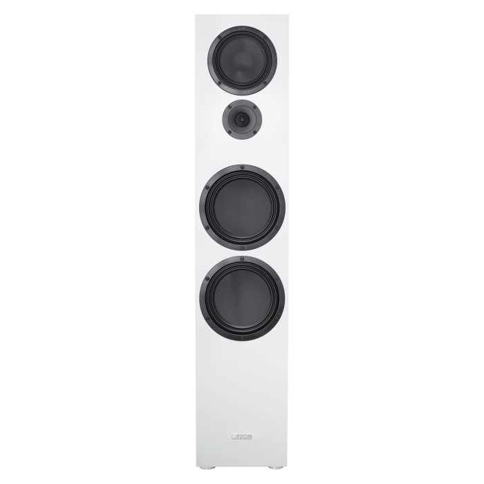 CANTON GLE 100 S2 BIANCO - COPPIA - Diffusori da pavimento - Audio Imp
