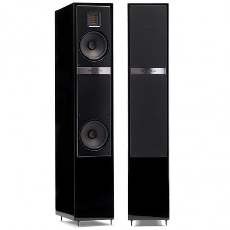 MARTINLOGAN MOTION 20I