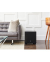 MARTIN LOGAN DYNAMO 1100X