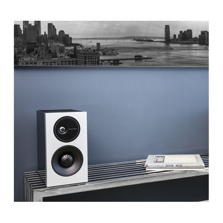 DEFINITIVE TECHNOLOGY DEMAND 9 COPPIA
