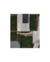 iACCESS ScanHAND - TERMOSCANNER - Audio Impact