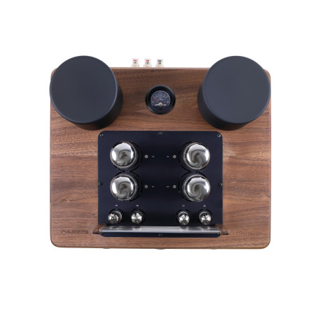 AURIS FORTINO 88 - EX DEMO - Amplificatori a valvole - Audio Impact