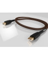 RICABLE MAGNUS USB - Cavi USB  - Audio Impact