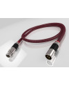 RICABLE INVICTUS AES/EBU - Cavi XLR  - Audio Impact