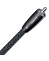 AUDIOQUEST CARBON DIGITAL COAX - Cavi Coassiali  - Audio Impact