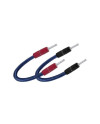 AUDIOQUEST SILVER - JUPITER (PSS) - Accessori - Audio Impact