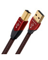 AUDIOQUEST USB CINNAMON